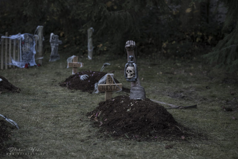 Přečtete si více ze článku Halloweenská ZOO Zlín